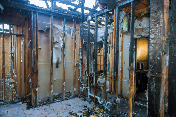 Professional Fire Damage Removal technician working in Orangeburg, SC